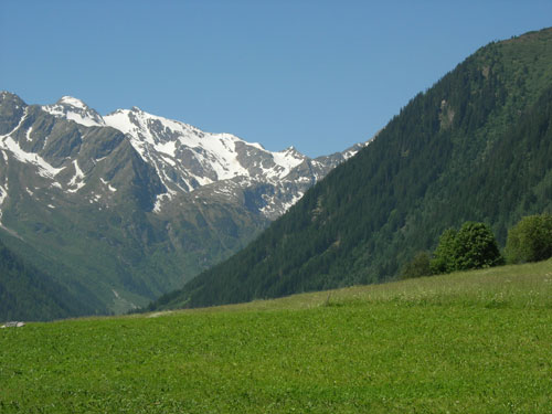 Gesichter der Natur